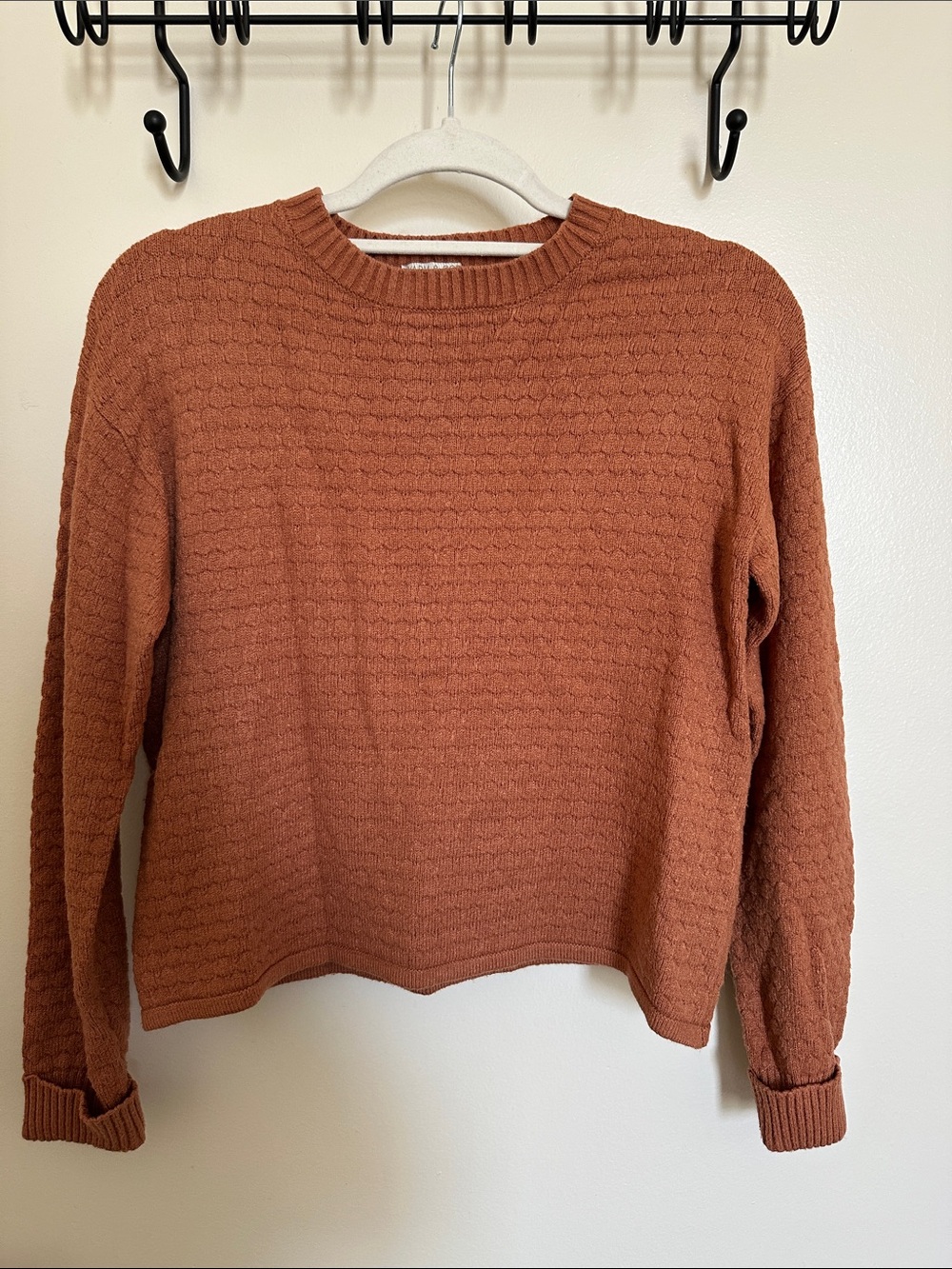 Cozy Textured Crewneck Sweater in Rust